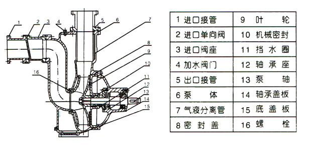 ZWP型不銹鋼自吸式無堵塞排污泵（結構圖）
